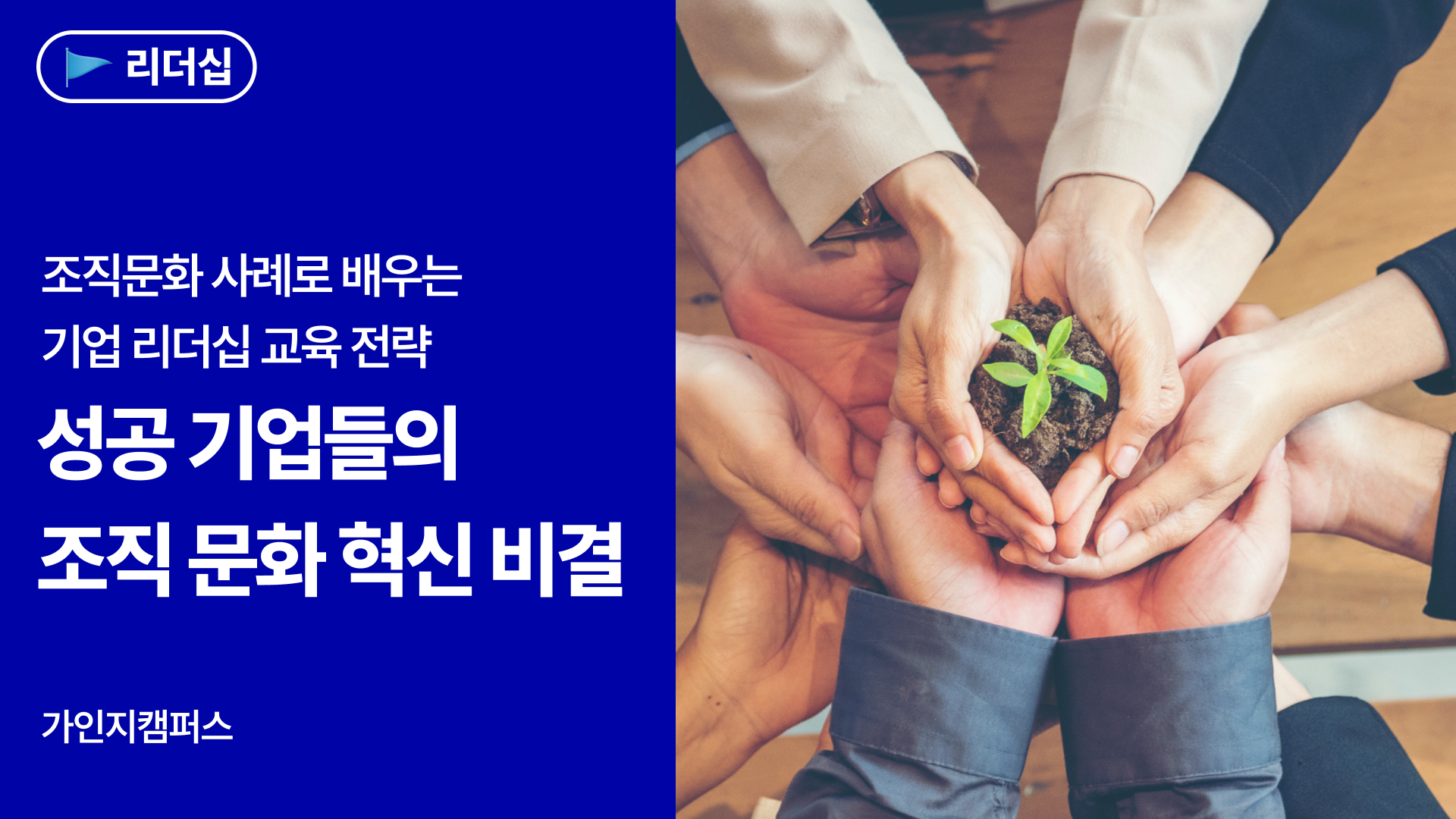 조직문화 사례로 배우는 기업 리더십 교육 전략, 성공 기업들의 조직문화 혁신 비결